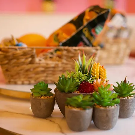 Apartmán Stilvolle 4 Oase Mit Kunst Ruhe 500 Qm Privatgarten Und Highspeed Wlan (adults Only)